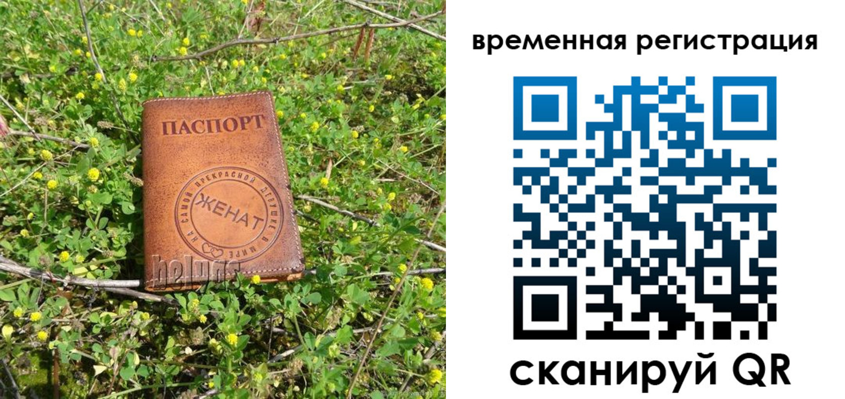 прописка регистрация в Советской Гавани
